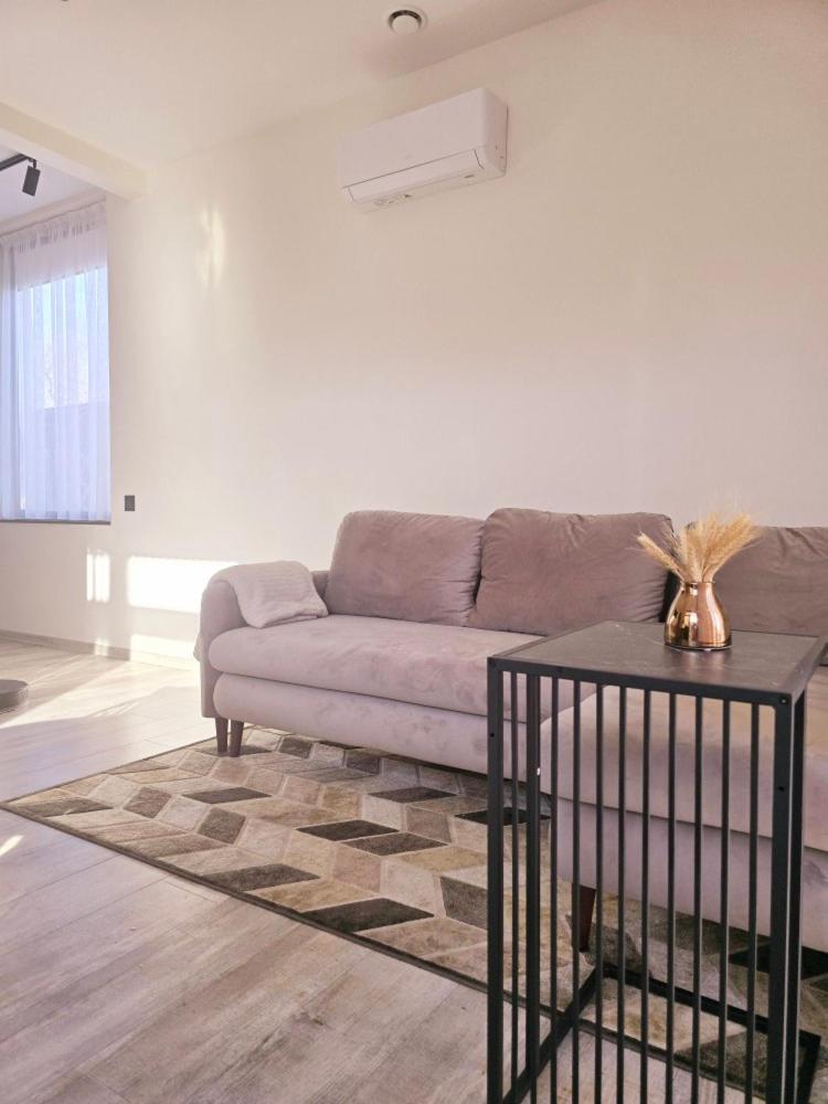 Lazy House Klaipedaアパートメント エクステリア 写真